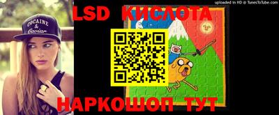 стаф Кулебаки
