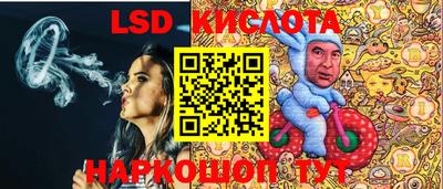 стаф Кулебаки