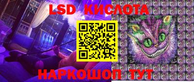 стаф Кулебаки