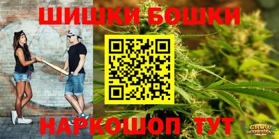 стаф Кулебаки