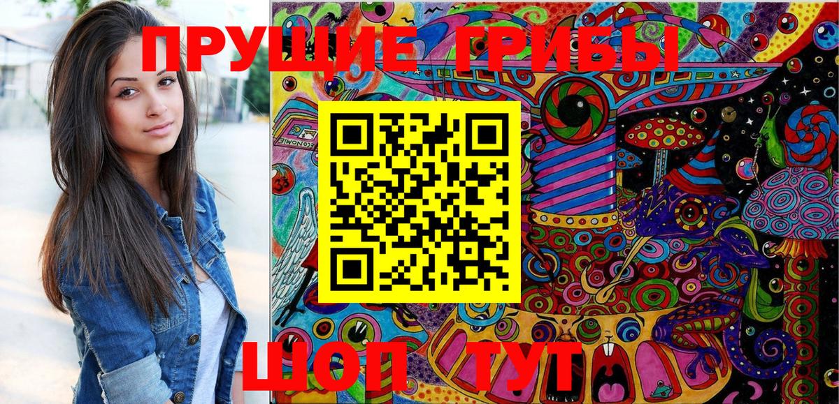 Слободской  Псилоцибиновые грибы Psilocybine cubensis  Вход с VPN 